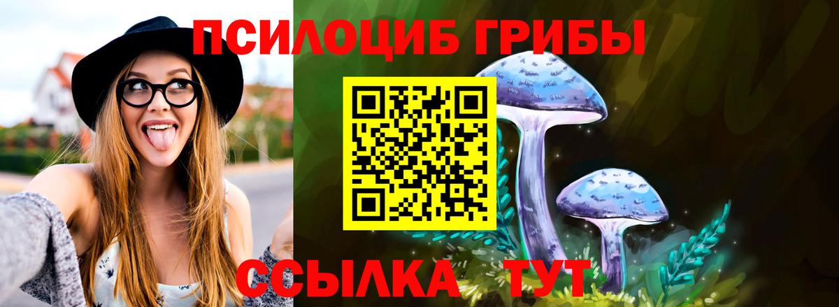 сколько стоит  Вход с VPN  Нефтекамск  Галлюциногенные грибы мицелий 